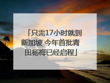只需17小时就到新加坡 今年首批青田杨梅已经启程