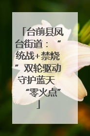 台前县凤台街道：“统战+禁烧”双轮驱动守护蓝天 “零火点”