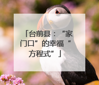 台前县：“家门口”的幸福“方程式”