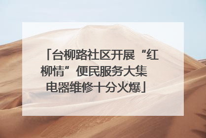 台柳路社区开展“红柳情”便民服务大集 电器维修十分火爆