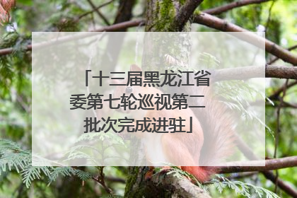 十三届黑龙江省委第七轮巡视第二批次完成进驻