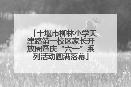 十堰市柳林小学天津路第一校区家长开放周暨庆“六一”系列活动圆满落幕