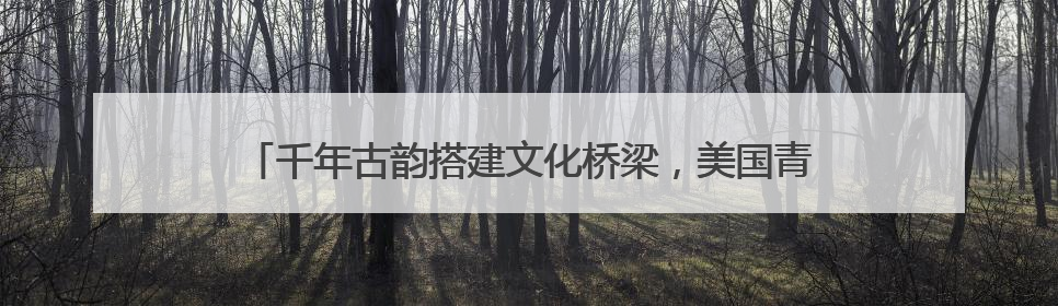 千年古韵搭建文化桥梁，美国青少年在镇江高职校体验唐菓宋茶