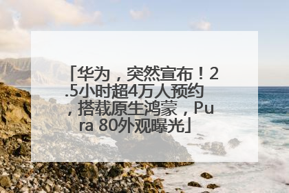 华为，突然宣布！2.5小时超4万人预约，搭载原生鸿蒙，Pura 80外观曝光