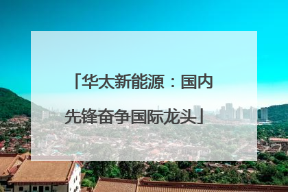华太新能源：国内先锋奋争国际龙头