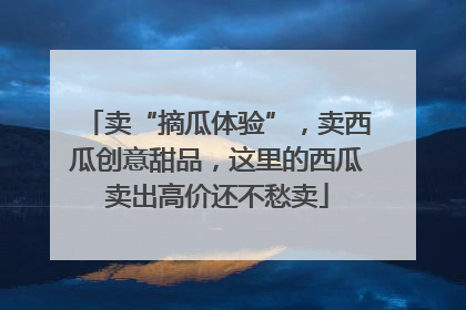 卖“摘瓜体验”，卖西瓜创意甜品，这里的西瓜卖出高价还不愁卖