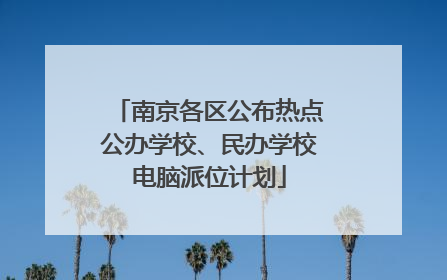 南京各区公布热点公办学校、民办学校电脑派位计划