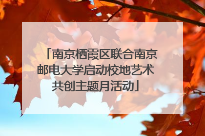 南京栖霞区联合南京邮电大学启动校地艺术共创主题月活动