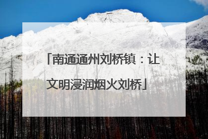 南通通州刘桥镇：让文明浸润烟火刘桥