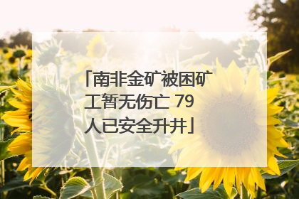 南非金矿被困矿工暂无伤亡 79人已安全升井