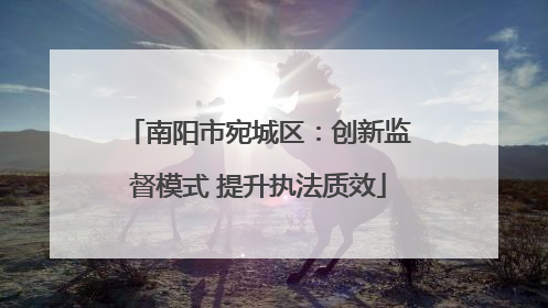 南阳市宛城区：创新监督模式 提升执法质效