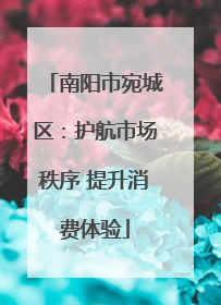 南阳市宛城区：护航市场秩序 提升消费体验