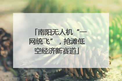 南阳无人机“一网统飞”，抢滩低空经济新赛道