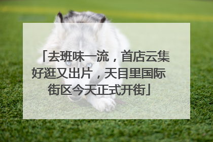 去班味一流，首店云集好逛又出片，天目里国际街区今天正式开街