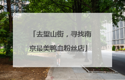 去望山街，寻找南京最美鸭血粉丝店