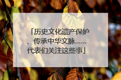 历史文化遗产保护、传承中华文脉……代表们关注这些事