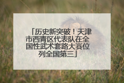 历史新突破！天津市西青区代表队在全国性武术套路大赛位列全国第三