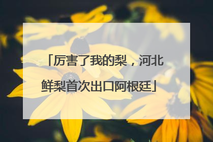 厉害了我的梨，河北鲜梨首次出口阿根廷