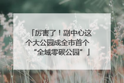 厉害了！副中心这个大公园成全市首个“全域零碳公园”