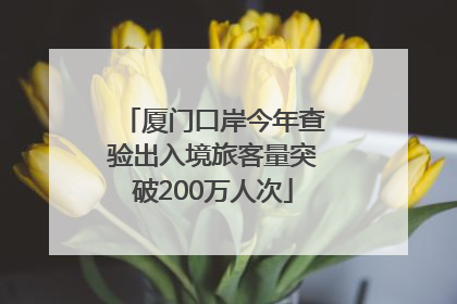 厦门口岸今年查验出入境旅客量突破200万人次