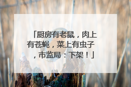 厨房有老鼠，肉上有苍蝇，菜上有虫子，市监局：下架！