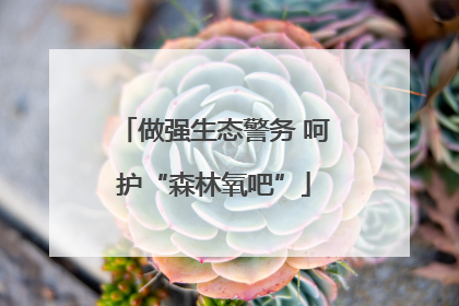 做强生态警务 呵护“森林氧吧”