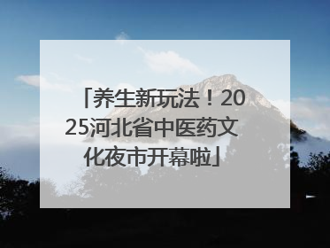 养生新玩法！2025河北省中医药文化夜市开幕啦