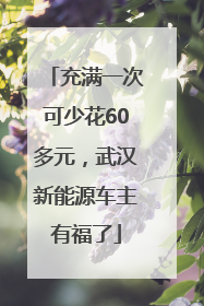 充满一次可少花60多元，武汉新能源车主有福了