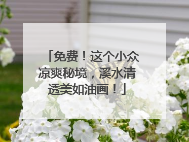免费！这个小众凉爽秘境，溪水清透美如油画！