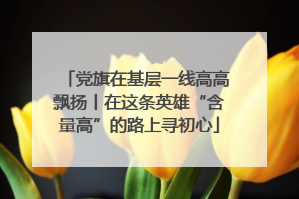 党旗在基层一线高高飘扬丨在这条英雄“含量高”的路上寻初心