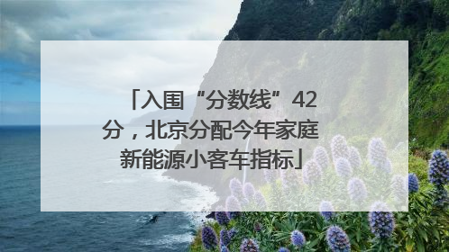 入围“分数线”42分，北京分配今年家庭新能源小客车指标