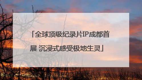 全球顶级纪录片IP成都首展 沉浸式感受极地生灵