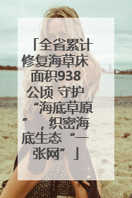全省累计修复海草床面积938公顷 守护“海底草原”，织密海底生态“一张网”