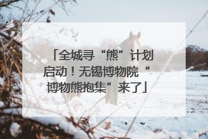 全城寻“熊”计划启动！无锡博物院“博物熊抱集”来了
