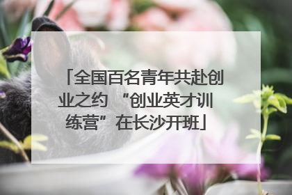 全国百名青年共赴创业之约 “创业英才训练营”在长沙开班