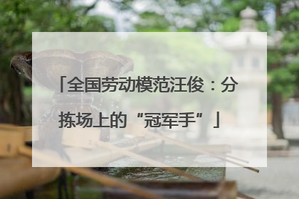 全国劳动模范汪俊：分拣场上的“冠军手”