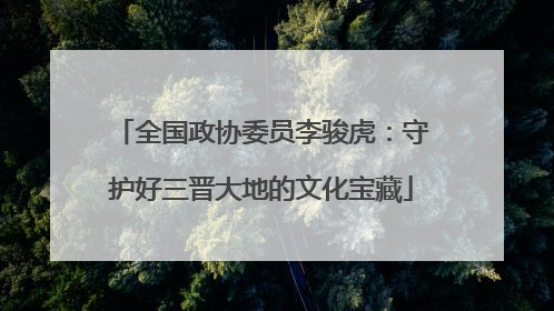 全国政协委员李骏虎：守护好三晋大地的文化宝藏