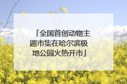 全国首创动物主题市集在哈尔滨极地公园火热开市