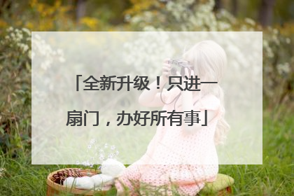 全新升级！只进一扇门，办好所有事
