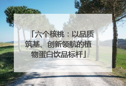 六个核桃：以品质筑基、创新领航的植物蛋白饮品标杆