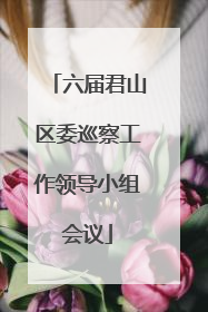 六届君山区委巡察工作领导小组会议