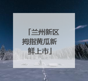 兰州新区拇指黄瓜新鲜上市