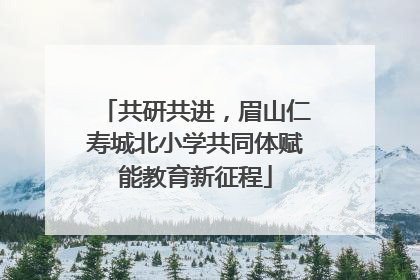 共研共进，眉山仁寿城北小学共同体赋能教育新征程