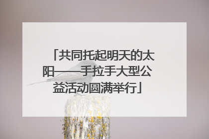 共同托起明天的太阳——手拉手大型公益活动圆满举行