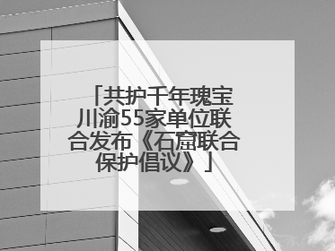 共护千年瑰宝 川渝55家单位联合发布《石窟联合保护倡议》