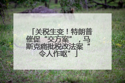 关税生变！特朗普催促“交方案”，马斯克痛批税改法案“令人作呕”