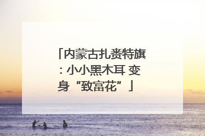 内蒙古扎赉特旗：小小黑木耳 变身“致富花”