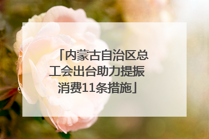 内蒙古自治区总工会出台助力提振消费11条措施