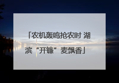 农机轰鸣抢农时 湖滨“开镰”麦飘香