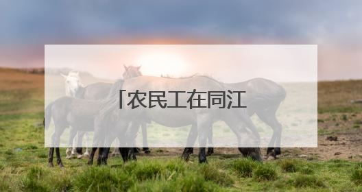 农民工在同江大岗直播间刷出新“农时令”